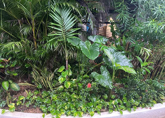 Pura Vida Hostel