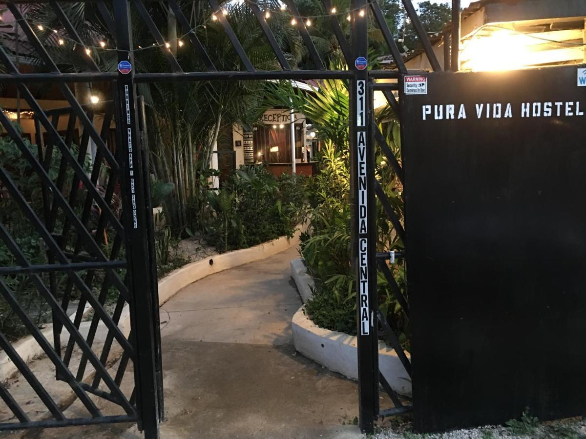 Pura Vida Tamarindo