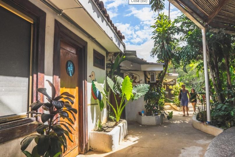 Pura Vida Hostel *