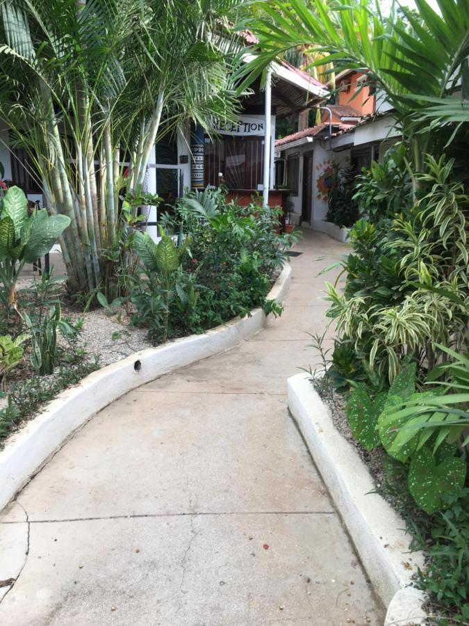 Pura Vida * Tamarindo