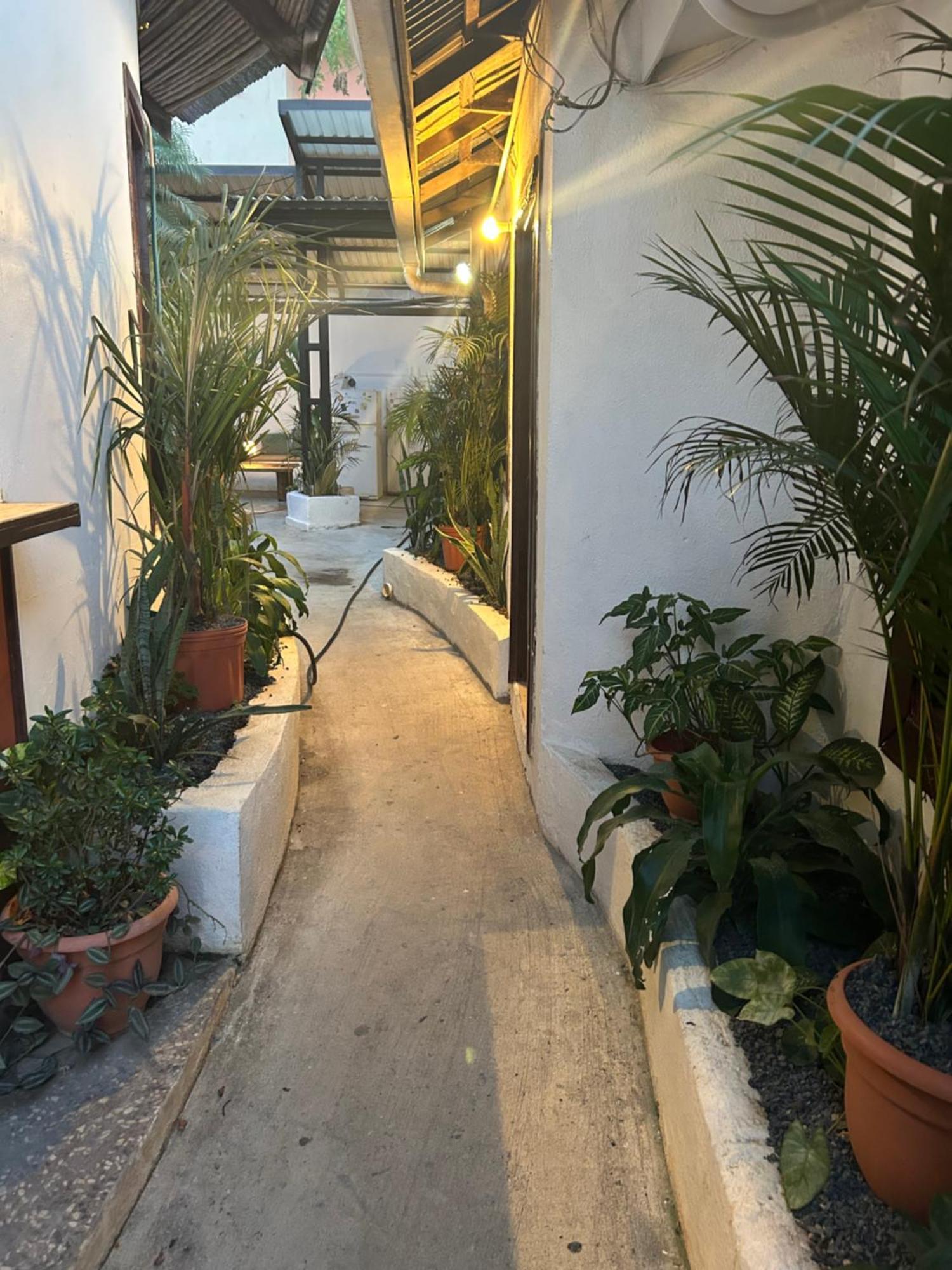 Pura Vida Hostel *