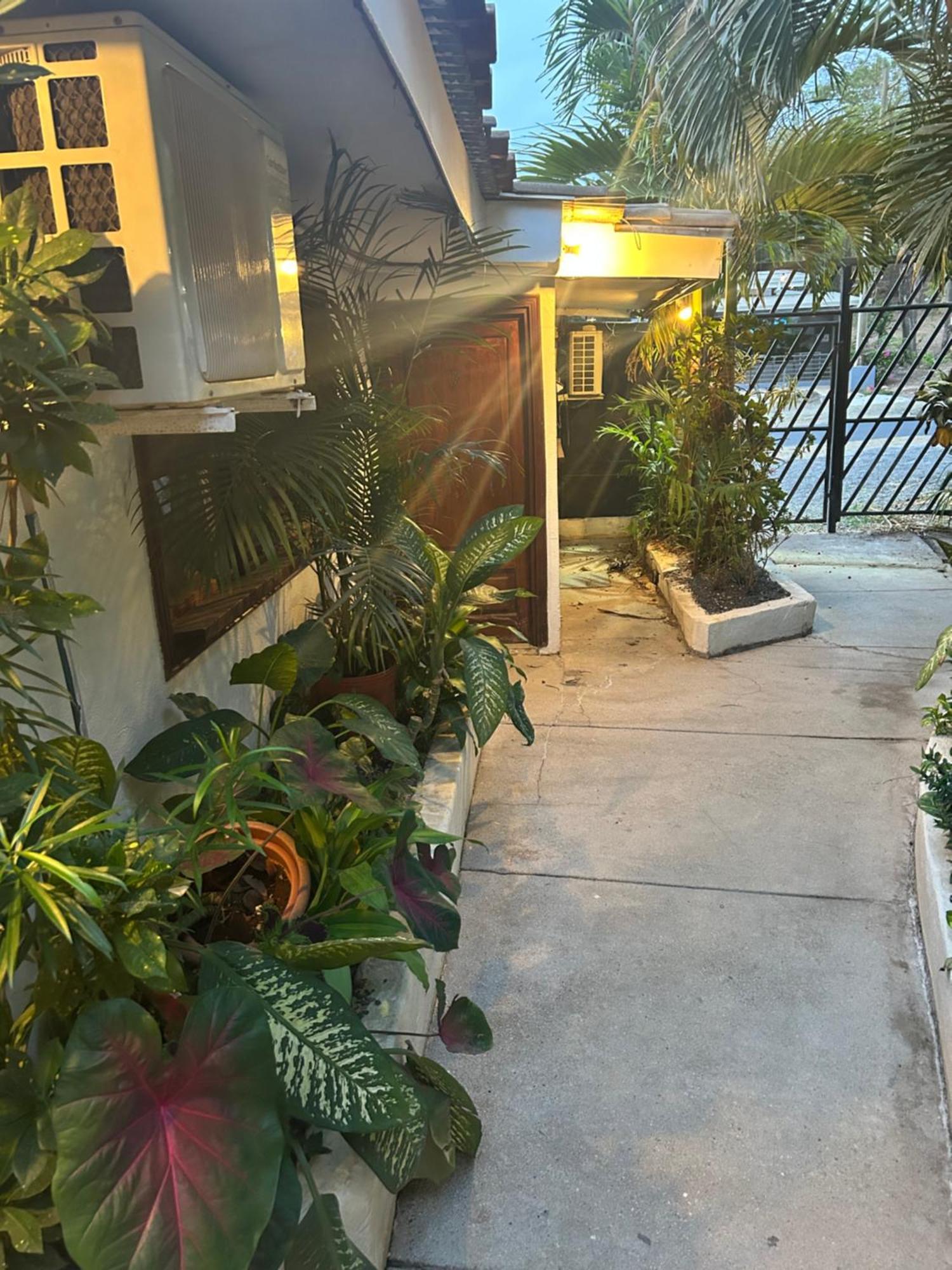Pura Vida Hostel *