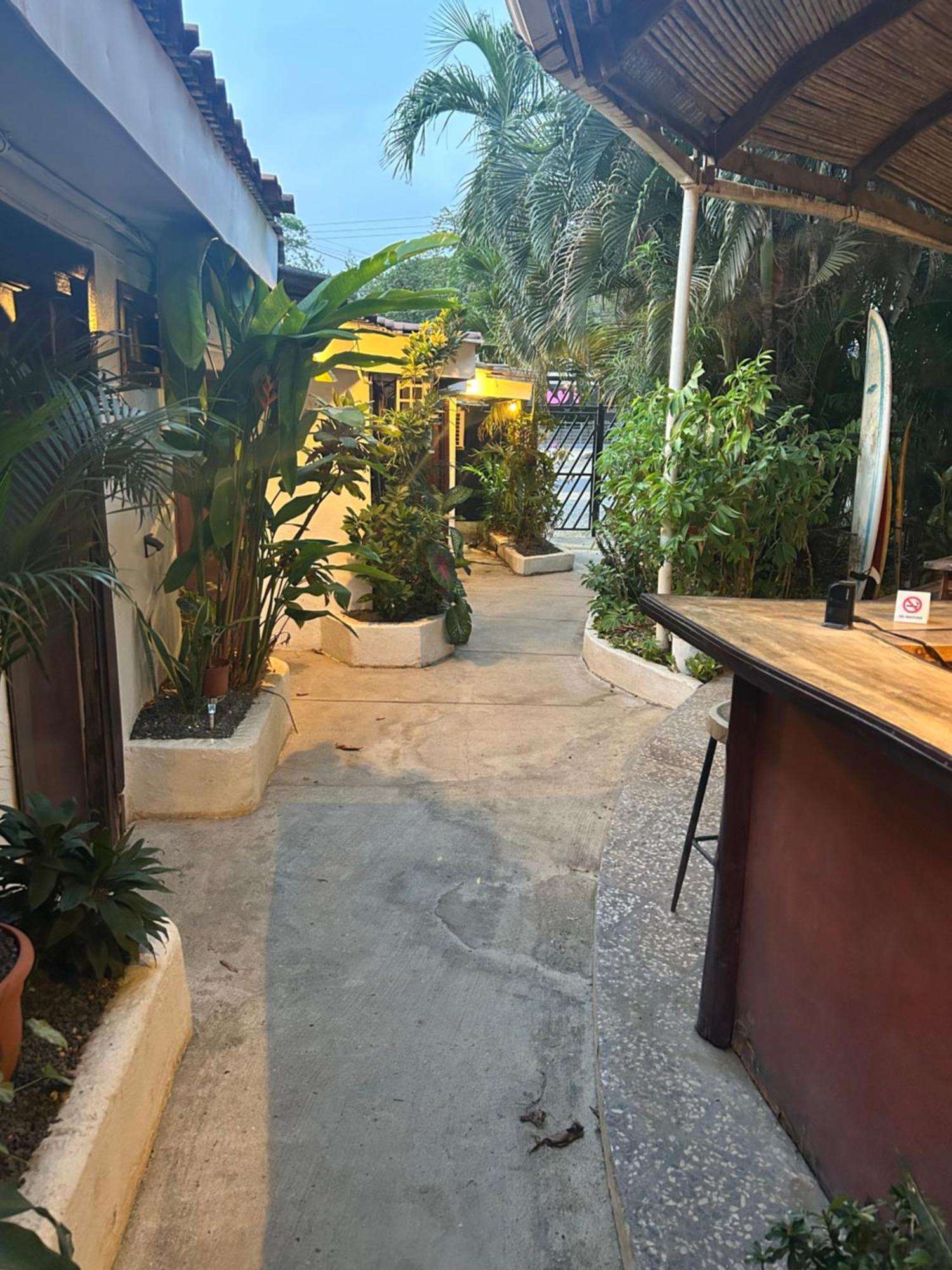 Pura Vida